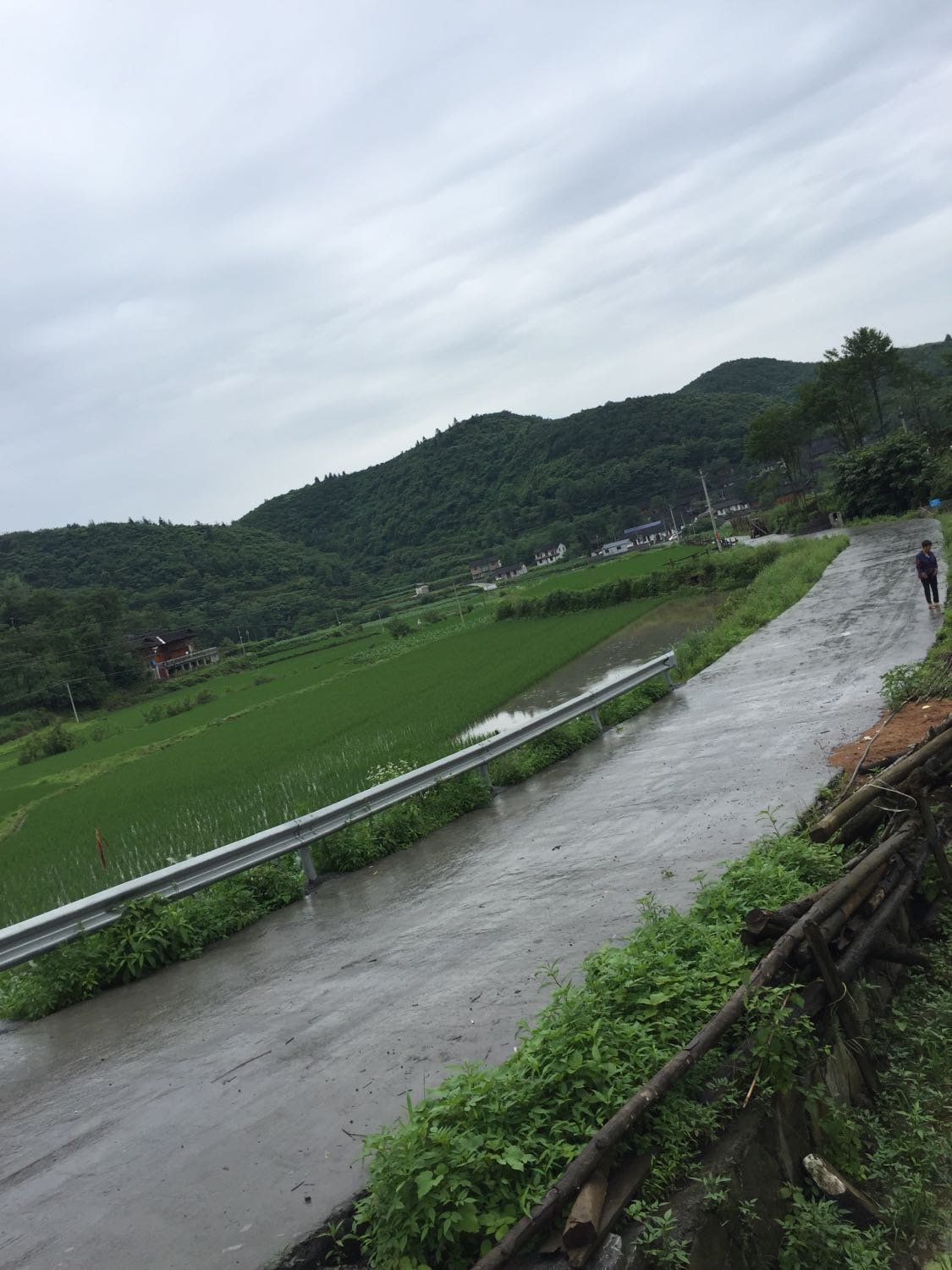 嘉陵村委會最新天氣預(yù)報及多方面信息解讀，嘉陵村委會天氣預(yù)報解讀與多方信息概覽