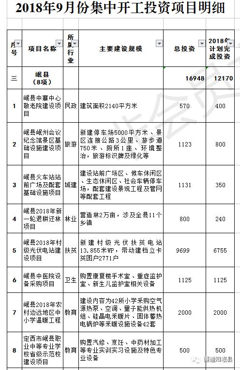 華坪縣計劃生育委員會最新項目深度解析，華坪縣計生委最新項目深度解讀報告