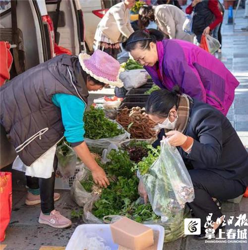 雄達(dá)村最新發(fā)展規(guī)劃，塑造未來繁榮藍(lán)圖，雄達(dá)村未來繁榮藍(lán)圖，最新發(fā)展規(guī)劃揭秘