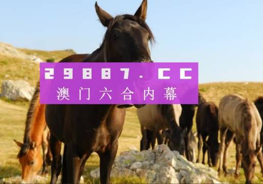 澳門管家婆一碼一中資料100,澳門精準(zhǔn)管家婆一碼一中全解析