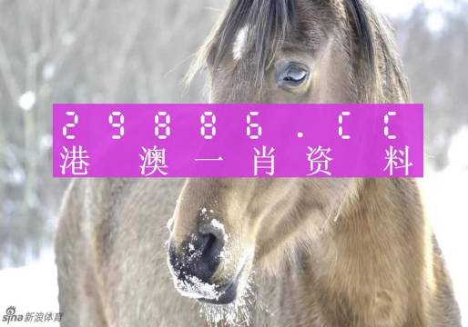 澳門(mén)一肖一碼100%精準(zhǔn)一／澳門(mén)一肖一碼精準(zhǔn)技巧揭秘，助你穩(wěn)贏投注！